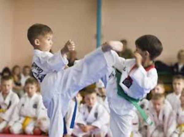 Taekwondo Beyaz Kuşak Kursu Açılacaktır